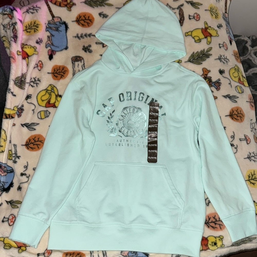 Gap kids hooded sweatshirt in mint green